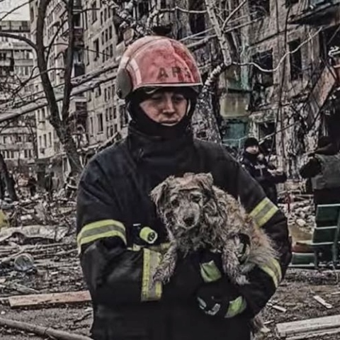 Διασώστης απομακρύνει σκύλο από βομβαρδισμένο κτίριο στην Ουκρανία © Володимир Зеленський/Facebook
