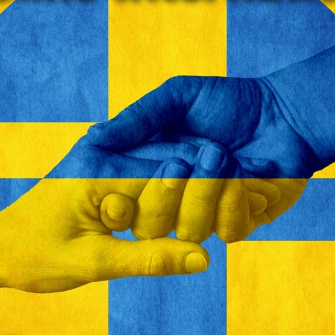 Εικόνα που δείχνει χειραψία με φόντο τη σημαία της ουκρανίας