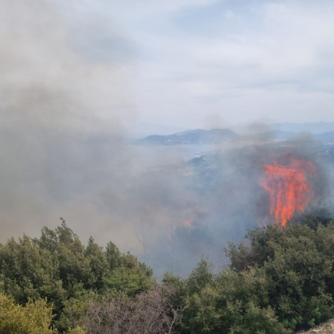 Φωτιά στη Σάμο