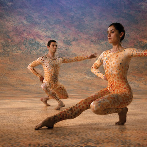 Σκηνή από την ταινία Cunningham.