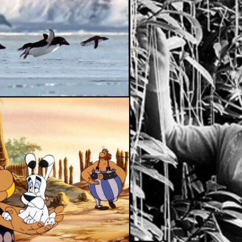 Φάρσες και ψέματα την Πρωταπριλιά - Όταν το BBC μετέδωσε ότι υπάρχουν «μακαρονόδεντρα»