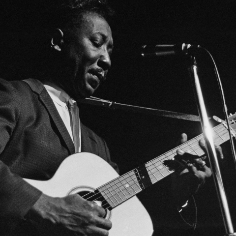 Muddy Waters, blues, κιθάρα