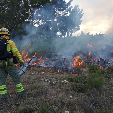 Η προδιαγεγραμμένη καύση ως απάντηση στις δασικές πυρκαγιές 