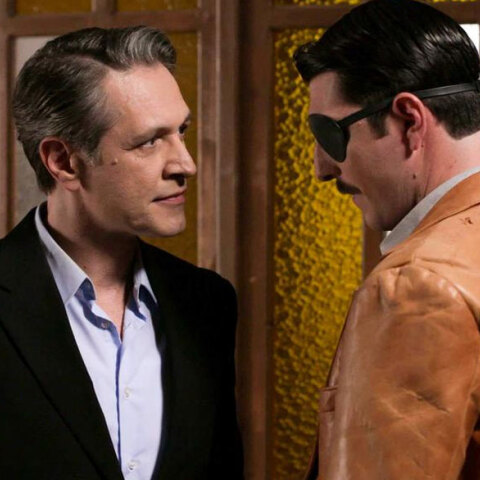 Άγριες Μέλισσες