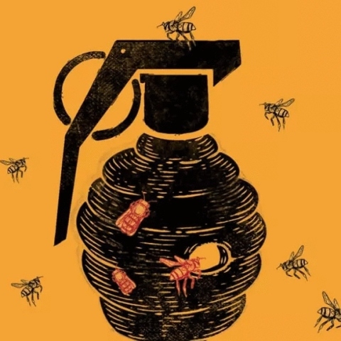 Αγριες μέλισσες, Κούρκοφ