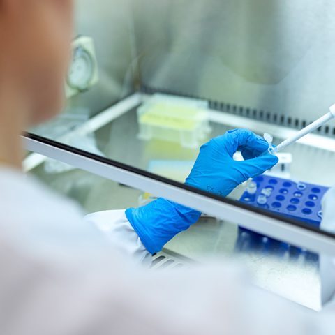 Βρετανία: Επιστήμονες αντέστρεψαν τη γήρανση σε ανθρώπινα κύτταρα κατά 30 χρόνια