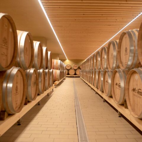 Όσα ζήσαμε στη Νεμέα και στο 3ο Συνέδριο Οινοτουρισμού