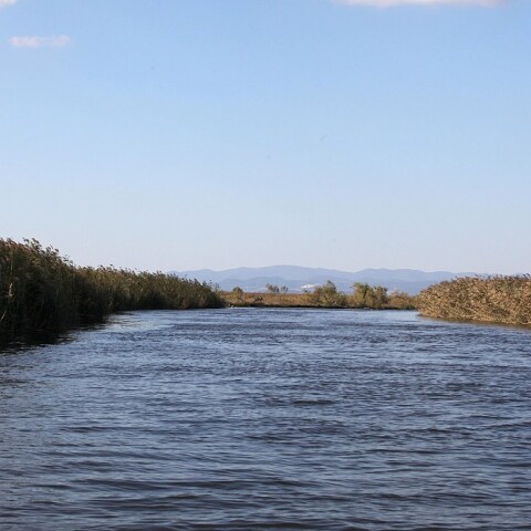 evros.jpg
