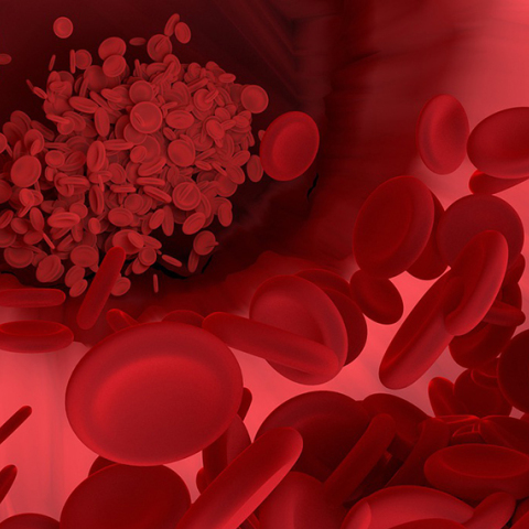 ερυθροκύτταρα ή ερυθρά αιμοσφαίρια