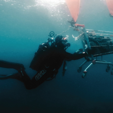 Φωτογραφία ενός δύτη μέσα στον βυθό της θάλασσας.