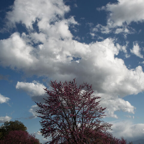 Με νεφώσεις ο καιρός αύριο Παρασκευή 15 Απριλίου 2022