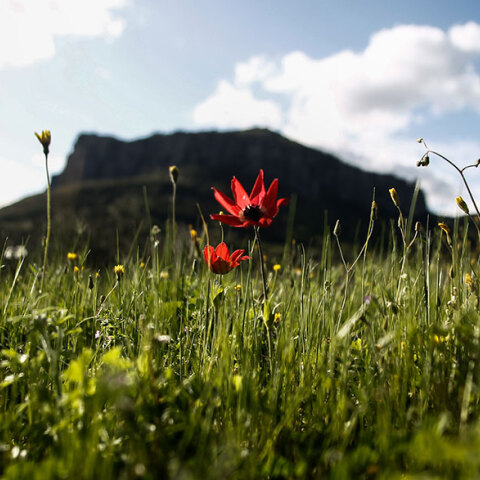 Αίθριος ο καιρός σήμερα Πέμπτη 14 Απριλίου 2022, σύμφωνα με την ΕΜΥ