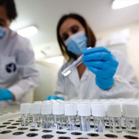 Το στέλεχος Όμικρον 2 κυριαρχεί στις μεταλλάξεις στην Ελλάδα