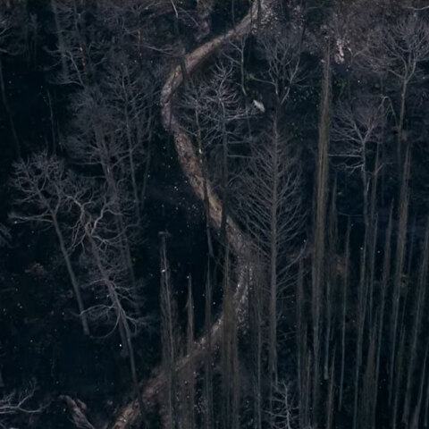 Καμένο δάσος Βαρυμπόμπης