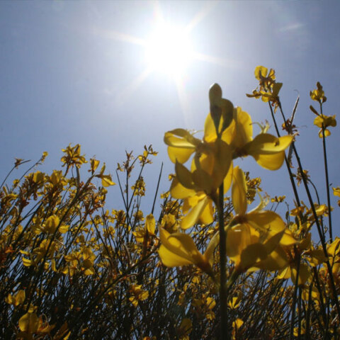 Καλός ο καιρός αύριο Μεγάλη Τετάρτη 20 Απριλίου 2022