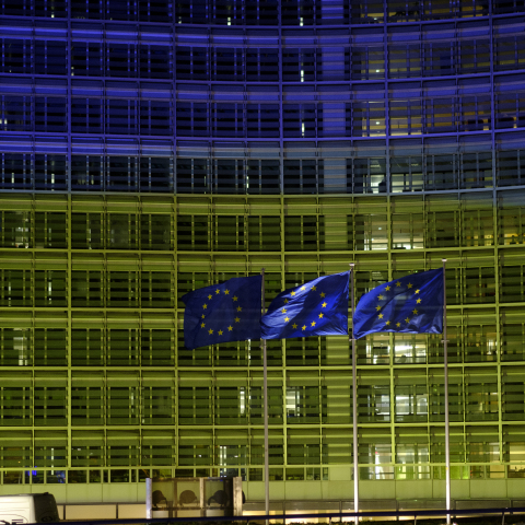 Ευρωπαϊκή Κομισιόν, Ουκρανία