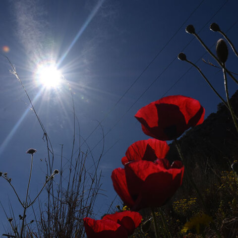 Με ηλιοφάνεια ο καιρός αύριο Μεγάλη Πέμπτη, σύμφωνα με την πρόγνωση του meteo