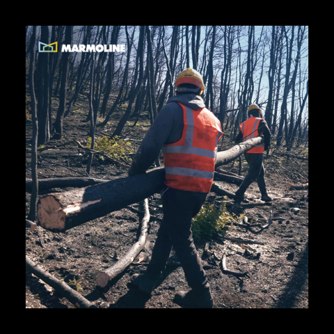 Αντιδιαβρωτικά και αντιπλημμυρικά έργα στο Τατόι από τη Marmoline