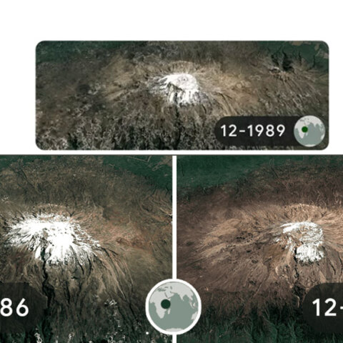 Το doodle της Google για την Ημέρα της Γης 2022