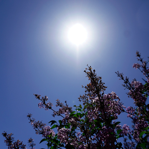 Γενικά αίθριος ο καιρός σήμερα Πέμπτη 28 Απριλίου 2022