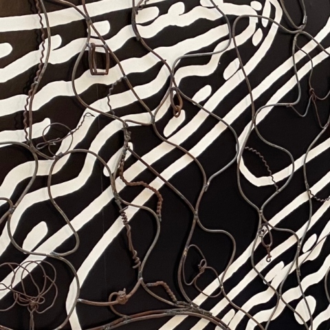 Μπιενάλε του Σίδνεϊ στην Πινακοθήκη της Νέας Νότιας Ουαλίας