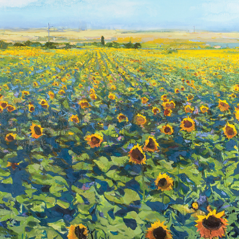 Μίλτος Γκολέμας: «Ηλιοτρόπια» στην γκαλερί Ζουμπουλάκη