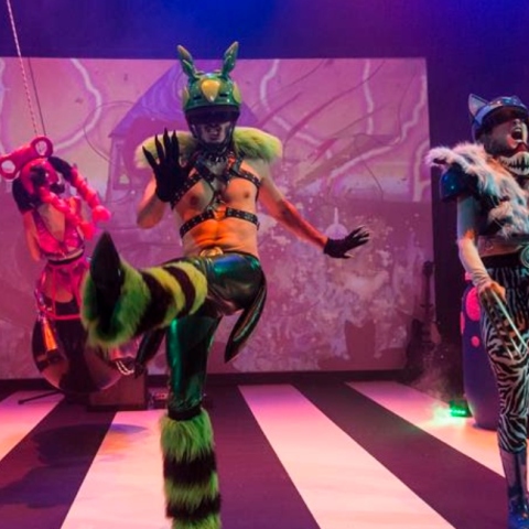 "We are in the army now" του Ηλία Αδάμ στη Στέγη