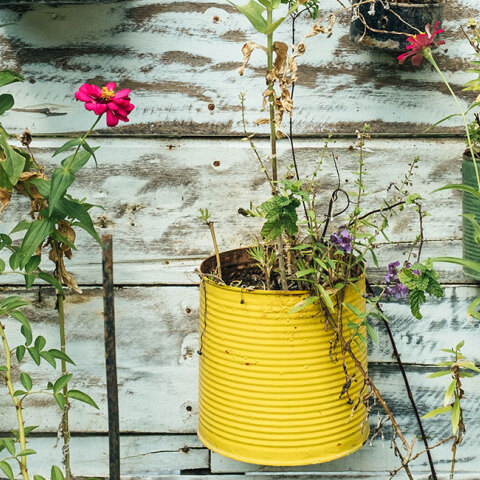 Γλάστρες από πλαστικούς και σιδερένιους κουβάδες