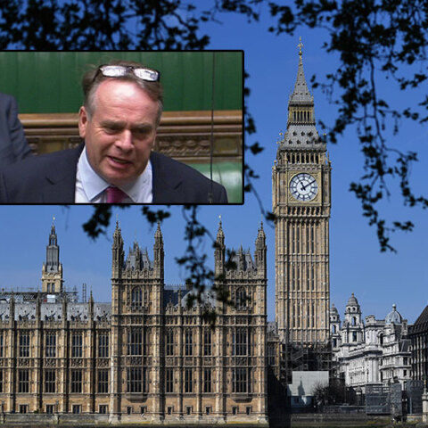 Η Βουλή των Κοινοτήτων στο Λονδίνο - Ο Νιλ Πάρις (ένθετη)