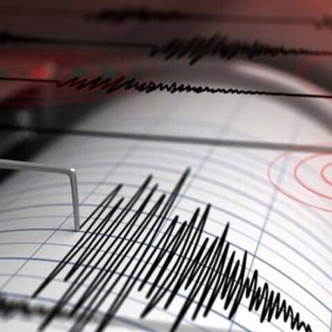 Σεισμογράφος κατέγραψε τον σεισμό στη Βοιωτία που έγινε αισθητός στην Αττική