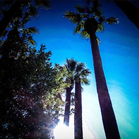 Αίθριος ο καιρός σήμερα Δευτέρα 9 Μαΐου 2022, σύμφωνα με την πρόγνωση της ΕΜΥ