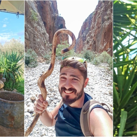 Κρητικές Κατσούνες