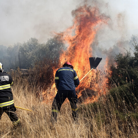 Μάχη με τις φλόγες έδωσαν πυροσβέστες στη Σαλαμίνα για να θέσουν υπό έλεγχο τη φωτιά