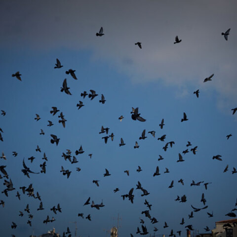 Το τριήμερο του Αγίου Πνεύματος 2022 είναι ένα από τα τέσσερα που απομένουν μέχρι να φύγει η χρονιά