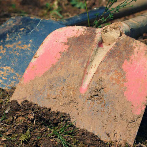 Γυναικοκτόνος στη Νότια Καρολίνα πέθανε από ανακοπή την ώρα που έθαβε τη σύντροφό του στον κήπο