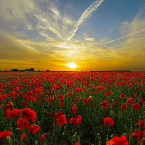 Ο καιρός αύριο Παρασκευή και 13 Μαΐου έχει νεφώσεις