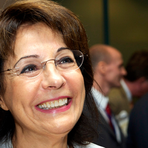 Η Μαρία Δαμανάκη στο Συμβούλιο της Ευρωπαϊκής Ένωσης