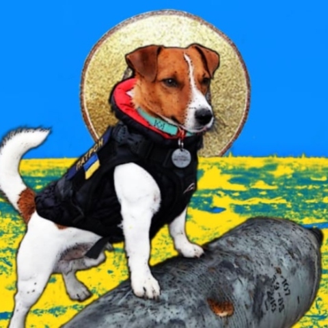 O Πατρόν βρίσκει νάρκες στην Ουκρανία 