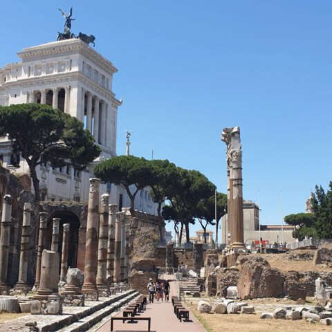 Το αφροδισιακό βότανο silphium είχε γίνει ανάρπαστο στην Αρχαία Ρώμη