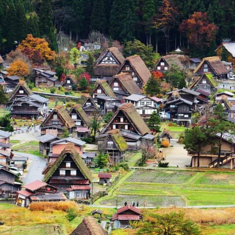 Iάπωνας τζόγαρε τα χρήματα του κορωνοιού