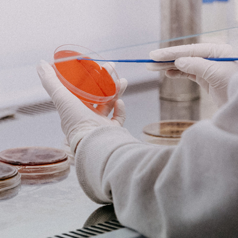 Ιατρικό εργαστήριο