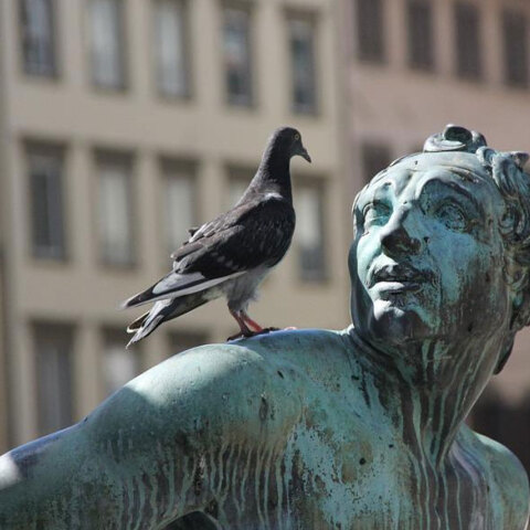 Σημαντική γιορτή του Αγίου Πνεύματος για την Ορθοδοξία