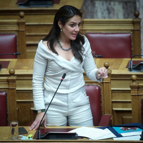 Δόμνα Μιχαηλίδου, Βουλή