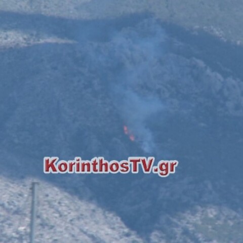 ΤΩΡΑ: Μεγάλη πυρκαγιά σε δασική έκταση στο Λουτράκι (video-φώτο)