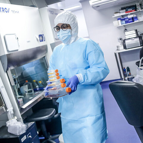 Ευλογιά των πιθήκων – ΠΟΥ: Δεν υπάρχουν στοιχεία ότι ο ιός έχει μεταλλαχθεί