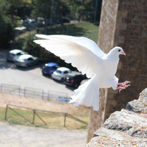 Τη Δευτέρα 13 Ιουνίου 2022 το τριήμερο του Αγίου Πνεύματος