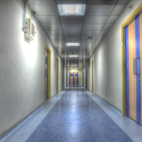 Για την ευλογιά των πιθήκων και τη διάγνωσή της η έμφαση δίνεται στα συμπτώματα