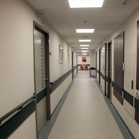 Ανησυχία και στην Ελλάδα για την ευλογιά των πιθήκων