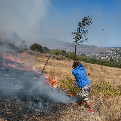Φωτιά στην Κερατέα ξέσπασε στην περιοχή Πλάκα