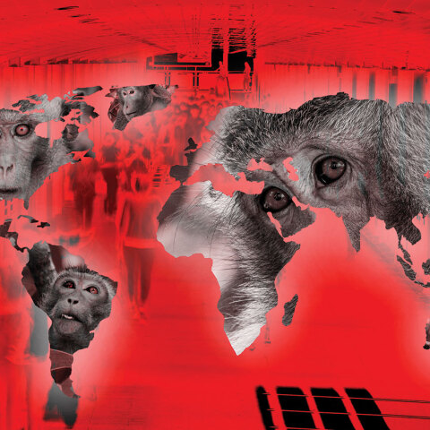 Φωτογραφία με έναν χάρτη του κόσμου.